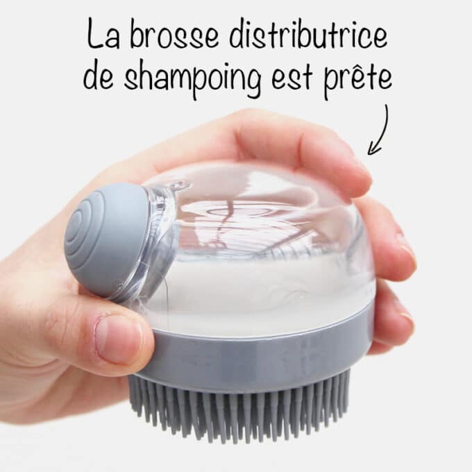brosse-bain-distributeur-shampoing-savon-chien-3 Brosse distributrice de shampoing pour laver le chien