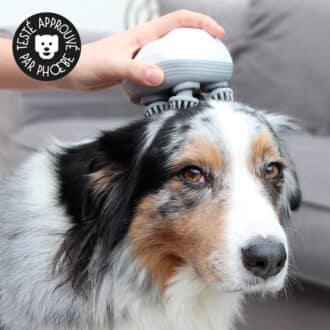 Masseur de tête pour chien électrique