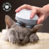 masseur-tete-chat-chien-appareil-massage-2 Masseur de tête pour chat électrique