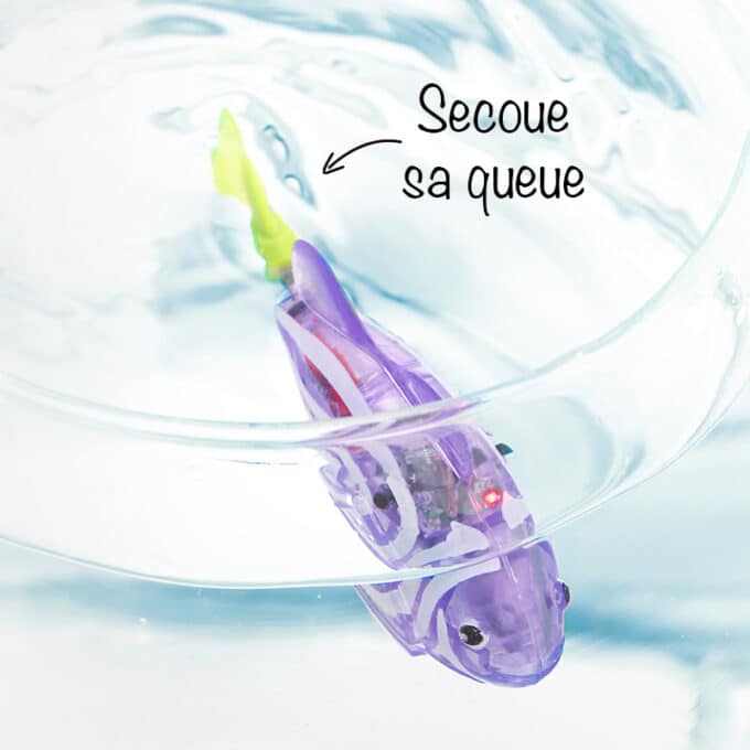 jouet-poisson-interactif-chat Poisson interactif pour chat qui nage et bouge