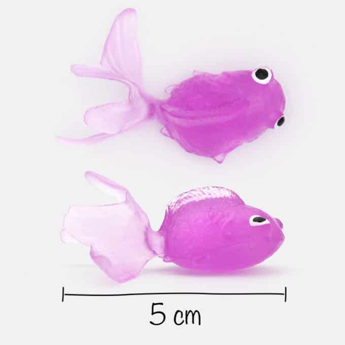 Balle poisson en caoutchouc rebondissant