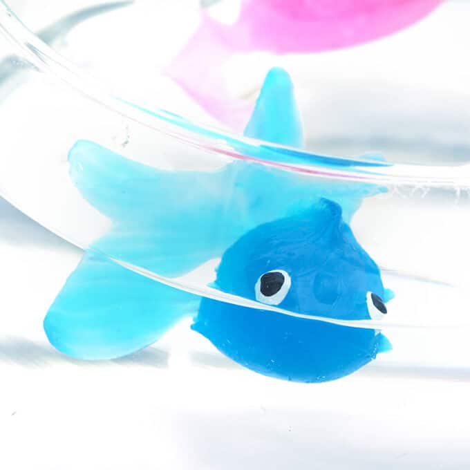 Balle poisson en caoutchouc rebondissant