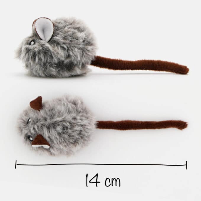 Souris grise pour chat