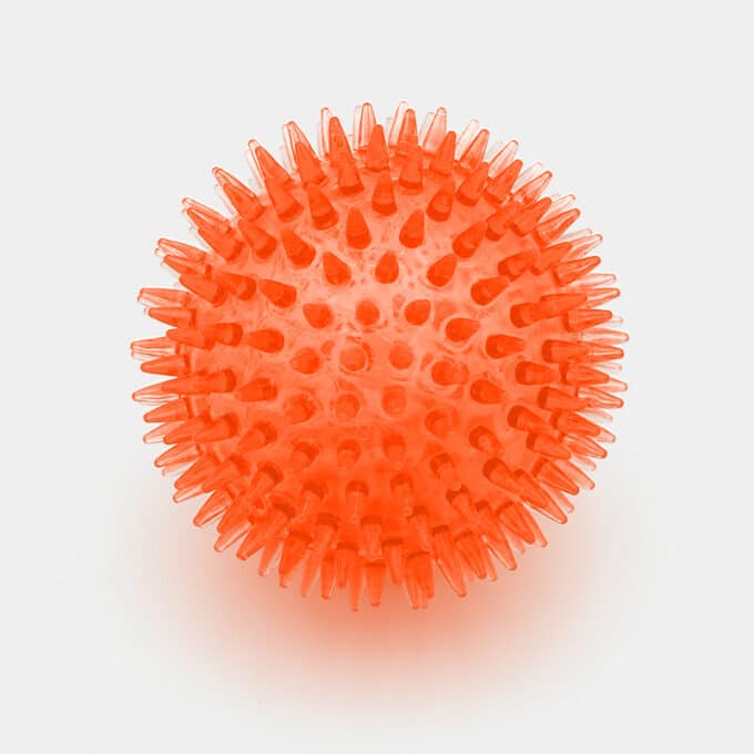 balle-herisson-couine-rebondissante-nettoie-dent-chien-3 Balle hérisson pour chien avec couinement et rebondissante