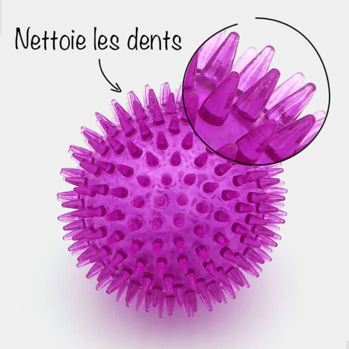 balle-herisson-couine-rebondissante-nettoie-dent-chien-7 Balle hérisson pour chien avec couinement et rebondissante