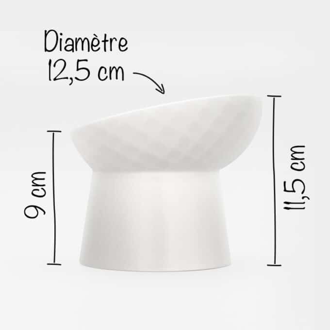 Gamelle en céramique pour le chat souffrant d'arthrose