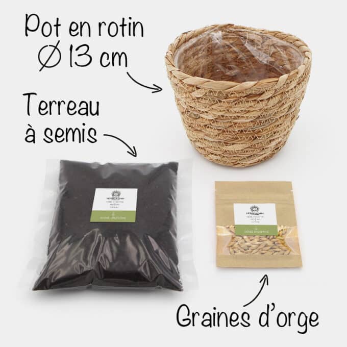 herbe-a-chat-panier-rotin-paille-osier-4 Kit herbe à chat à faire pousser avec graines et terreau dans un pot en rotin