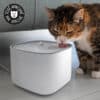Fontaine à eau pour chat silencieuse