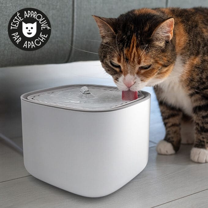 Fontaine à eau pour chat silencieuse