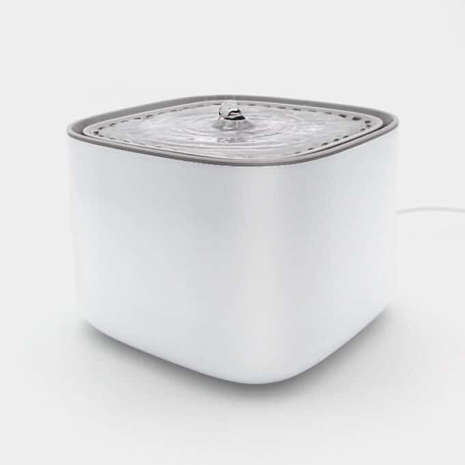 Fontaine à eau pour chat silencieuse