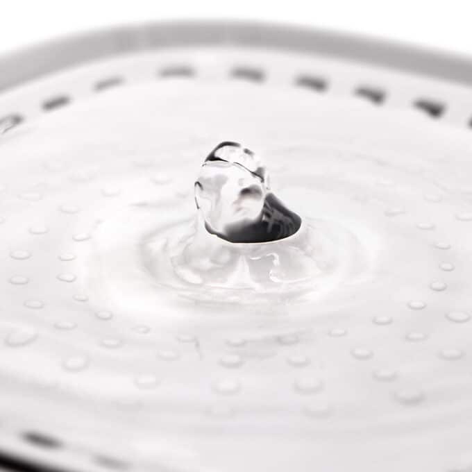 Fontaine à eau pour chat silencieuse