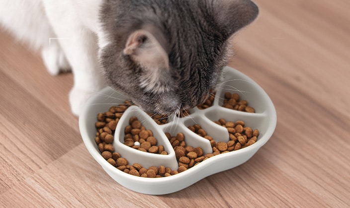 Gamelle anti-glouton pour le chat qui mange trop vite