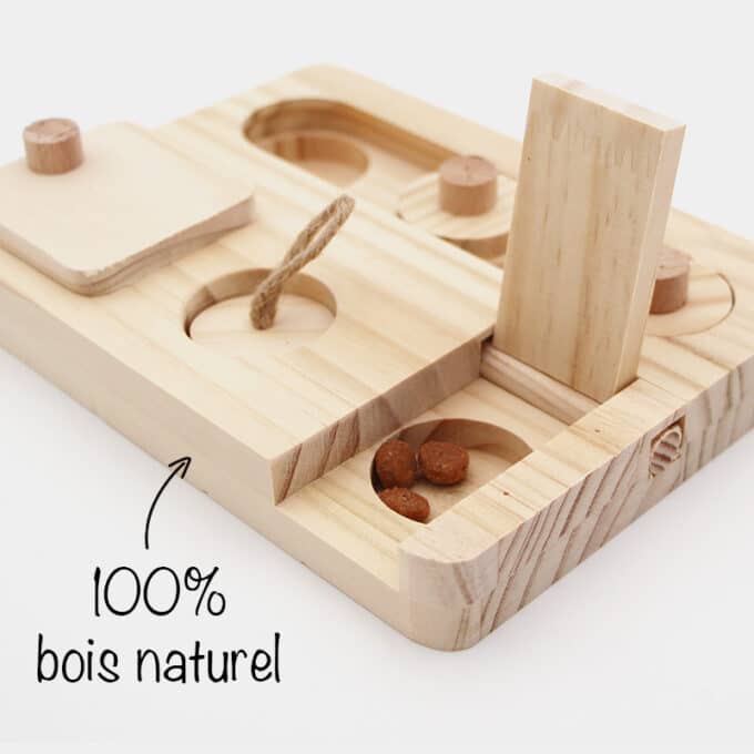 Jouet d'intelligence et interactif avec cachettes et recherche de nourriture pour chat