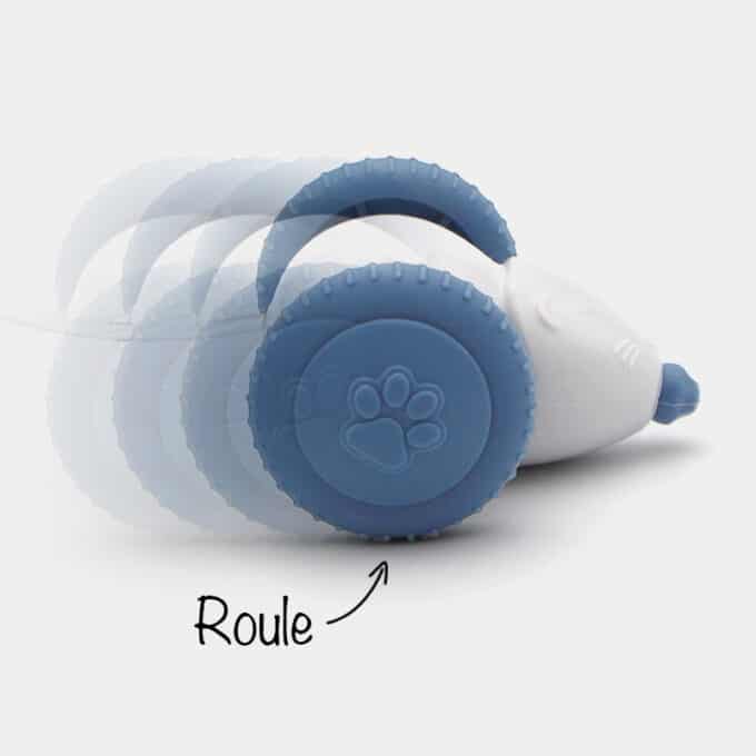 Souris interactive qui avance toute seule