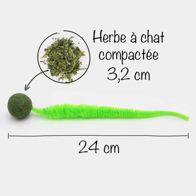 Balle d'herbe à chat cataire avec chenille