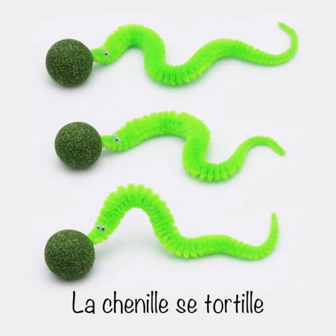 Balle d'herbe à chat cataire avec chenille