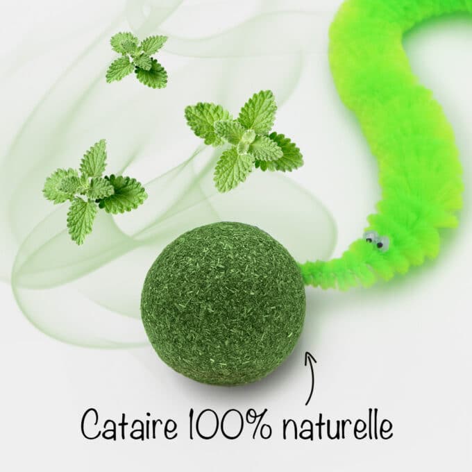 Balle d'herbe à chat cataire avec chenille