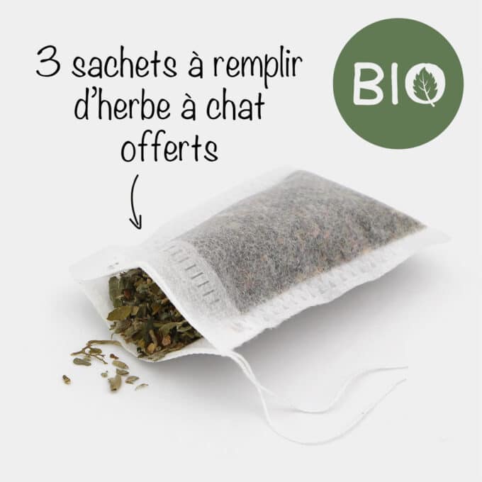 Peluche avec poche rechargeable à remplir d'herbe à chat