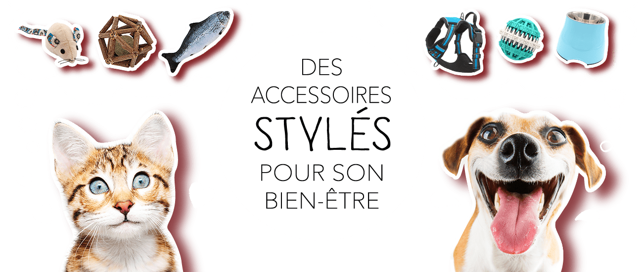 Boutique en ligne accessoires chat et chien Catedogshop