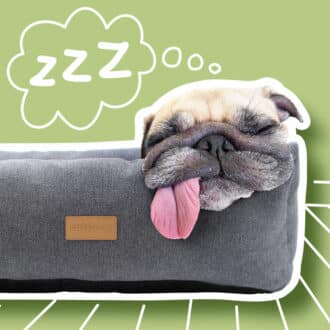Couchages et paniers chien