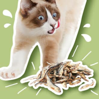 Friandises naturelles chat