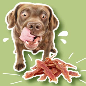 Friandises naturelles chien et chat premium