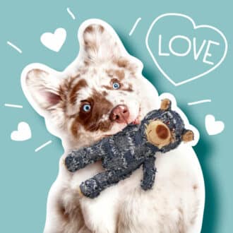 Peluches chien